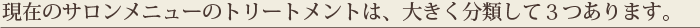 現在のサロンメニューのトリートメントは、大きく分類して３つあります。