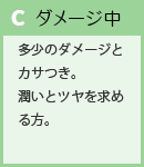 C　ダメージ中多少のダメージとカサつき。潤いとツヤを求める方。