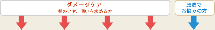 ダメージケア（髪のツヤ、潤いを求める方）と頭皮でお悩みの方へ